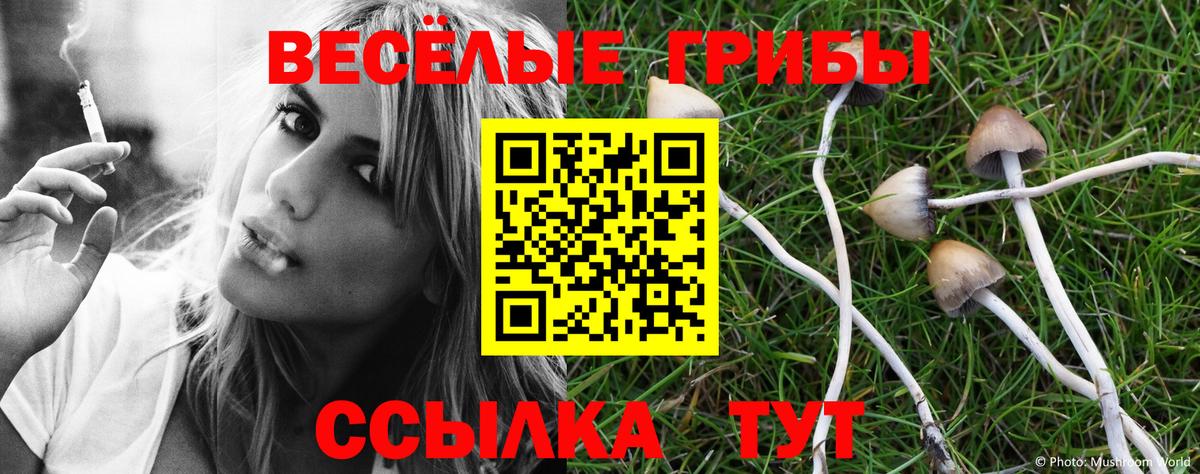 Псилоцибиновые грибы мицелий Клинцы