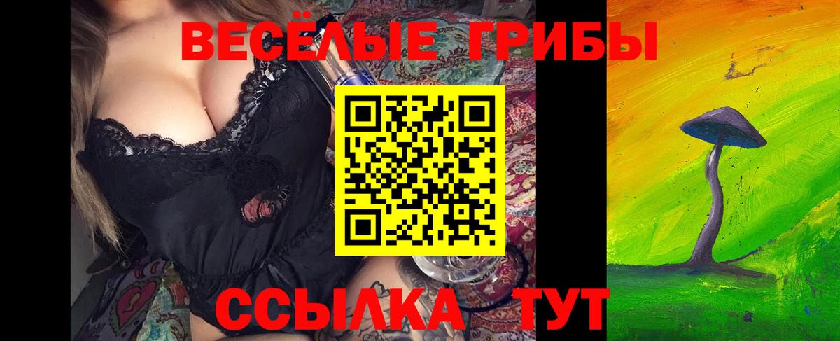 хочу наркоту  Вход с VPN  Клинцы  Псилоцибиновые грибы ЛСД 