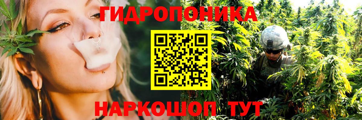 Бошки Шишки AK-47  Конопля тримм  Клинцы  Канабис White Widow 